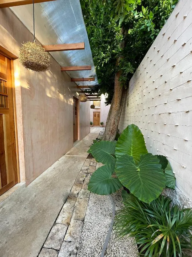 Appartement Casa Aurora Merida, Centro Historico