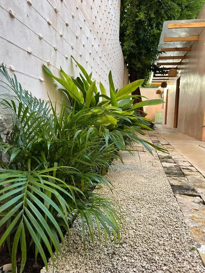 Appartement Casa Aurora Merida, Centro Historico 0*,  Mexique